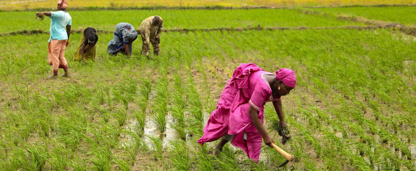 Agropastoral Tax Incentives (The 30% Savings)
